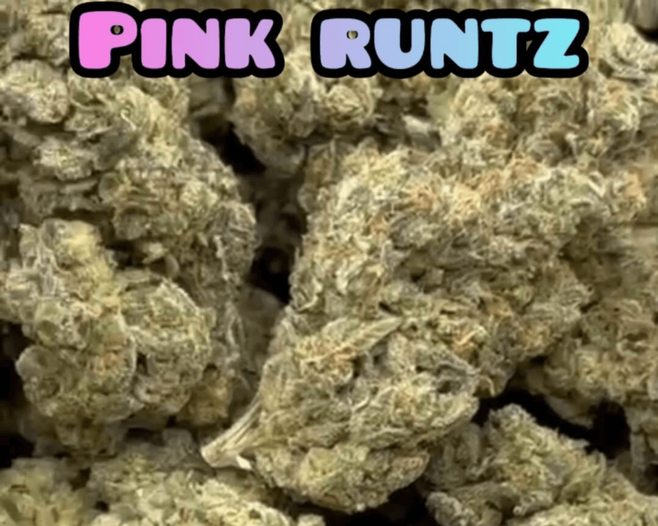 Pink Runtz - Hybrid