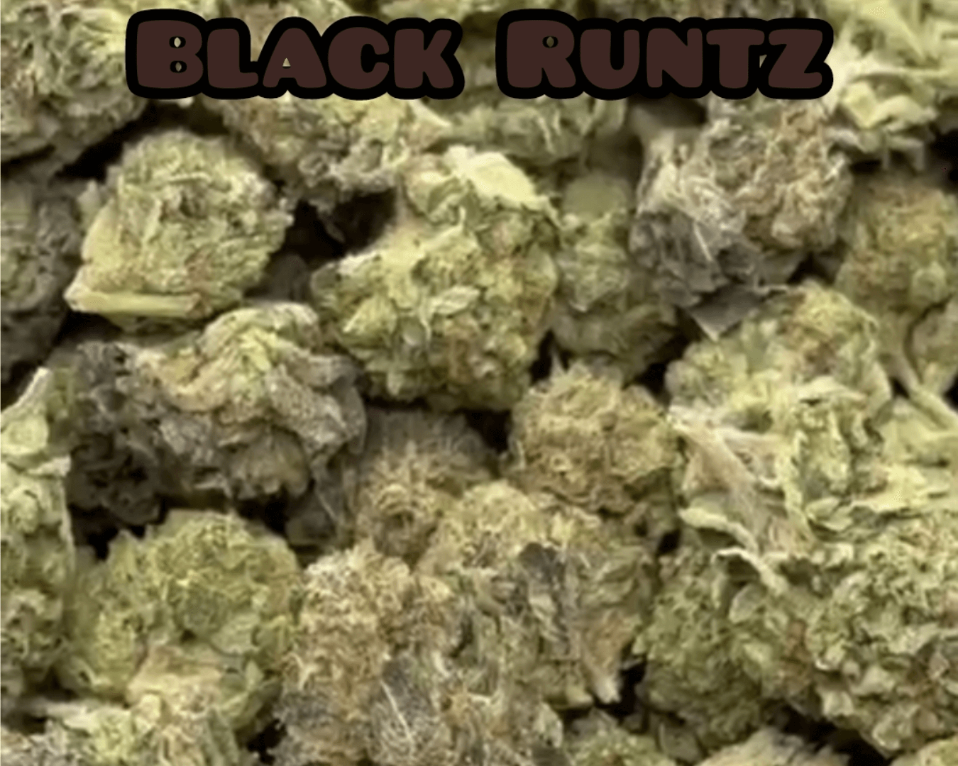 Black Runtz - Indica Dominant