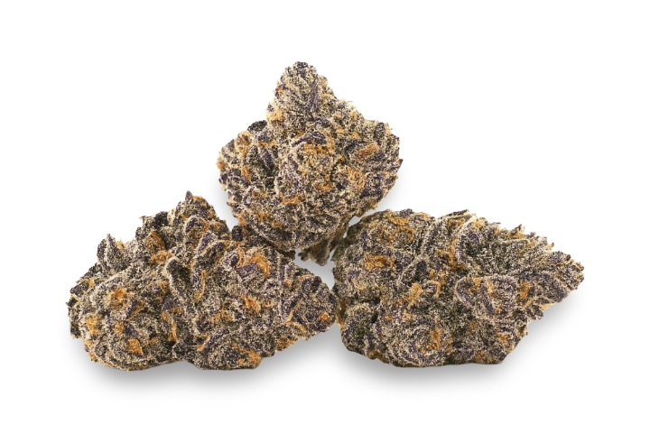 Exotic Flowers