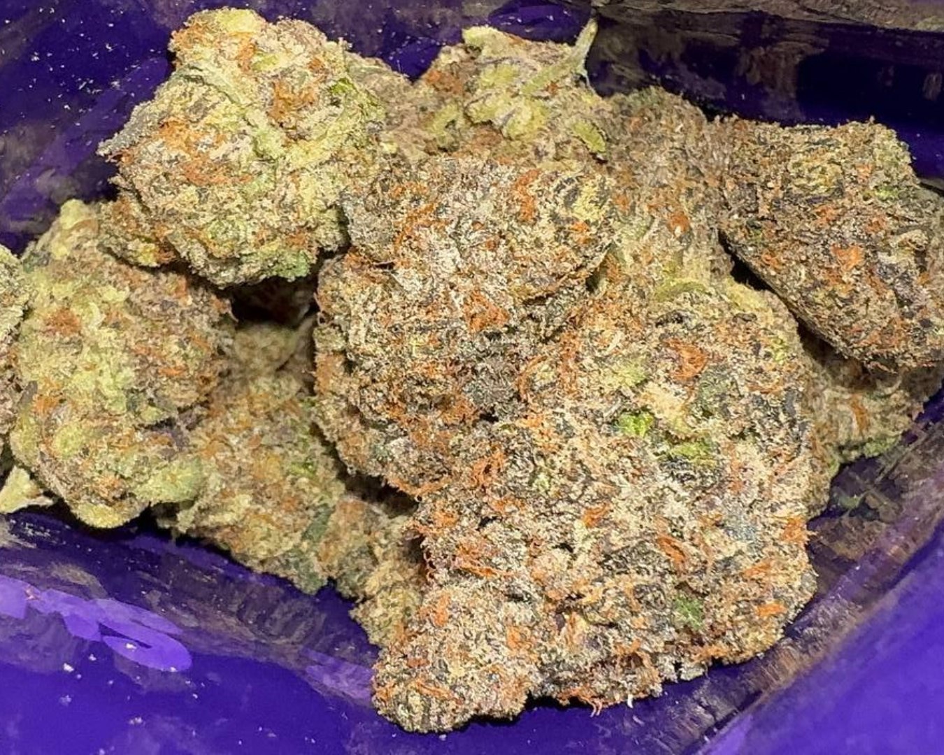 Sweetz Exotics: Moncler Melons - H - 36.09%