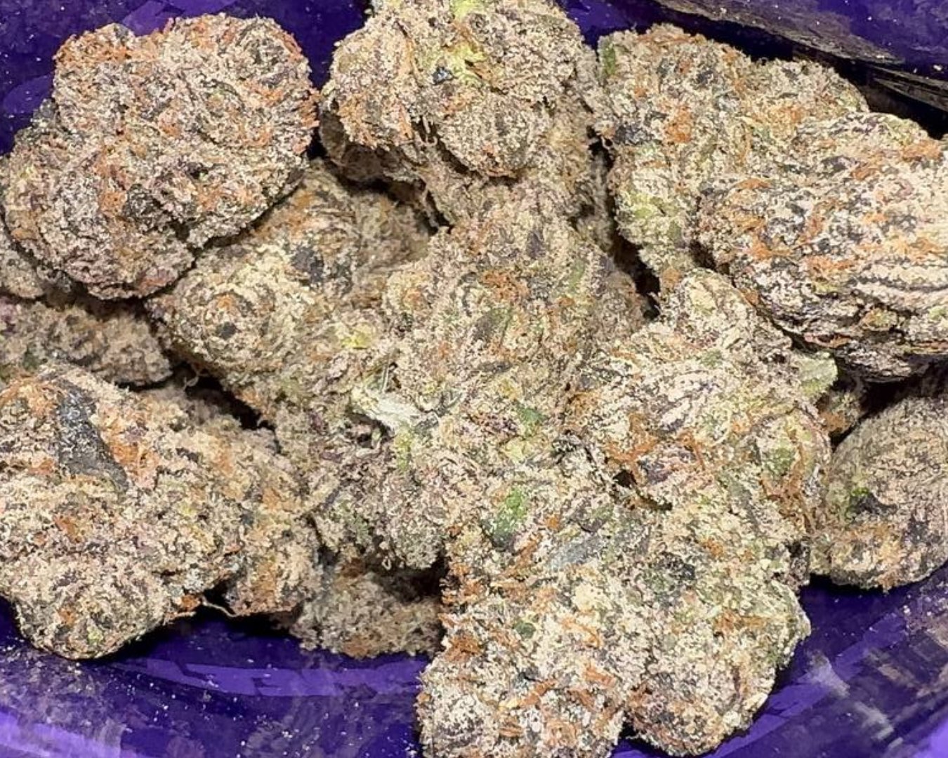 Sweetz Exotics: VVS Cherries - H - 38.13%