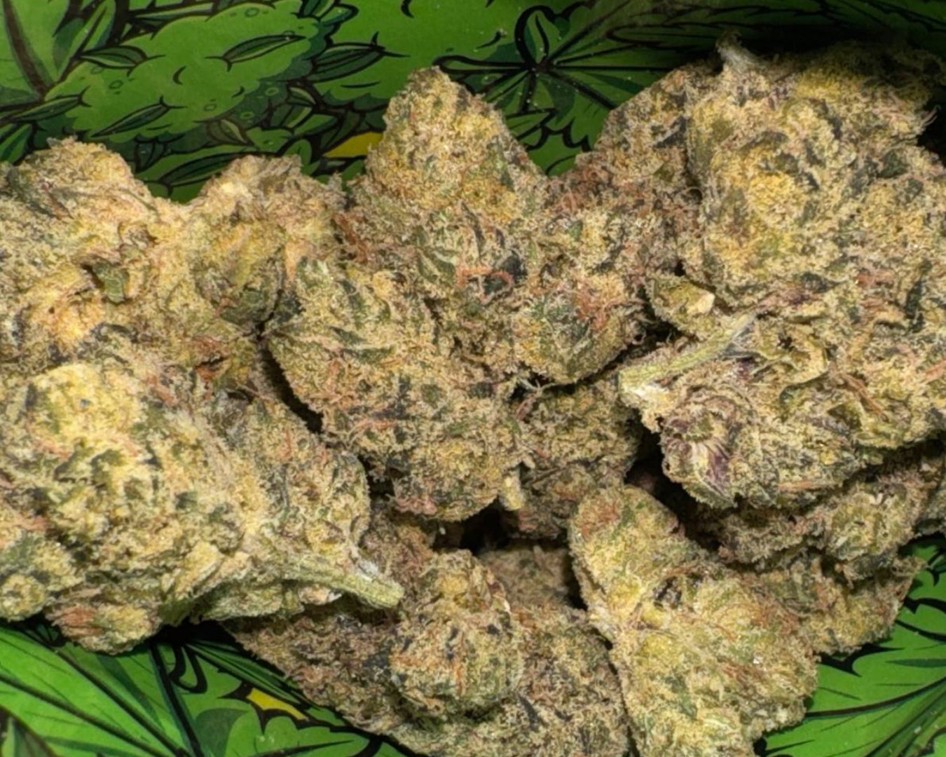 Pillows: Lemon Pie - S - 38.43%
