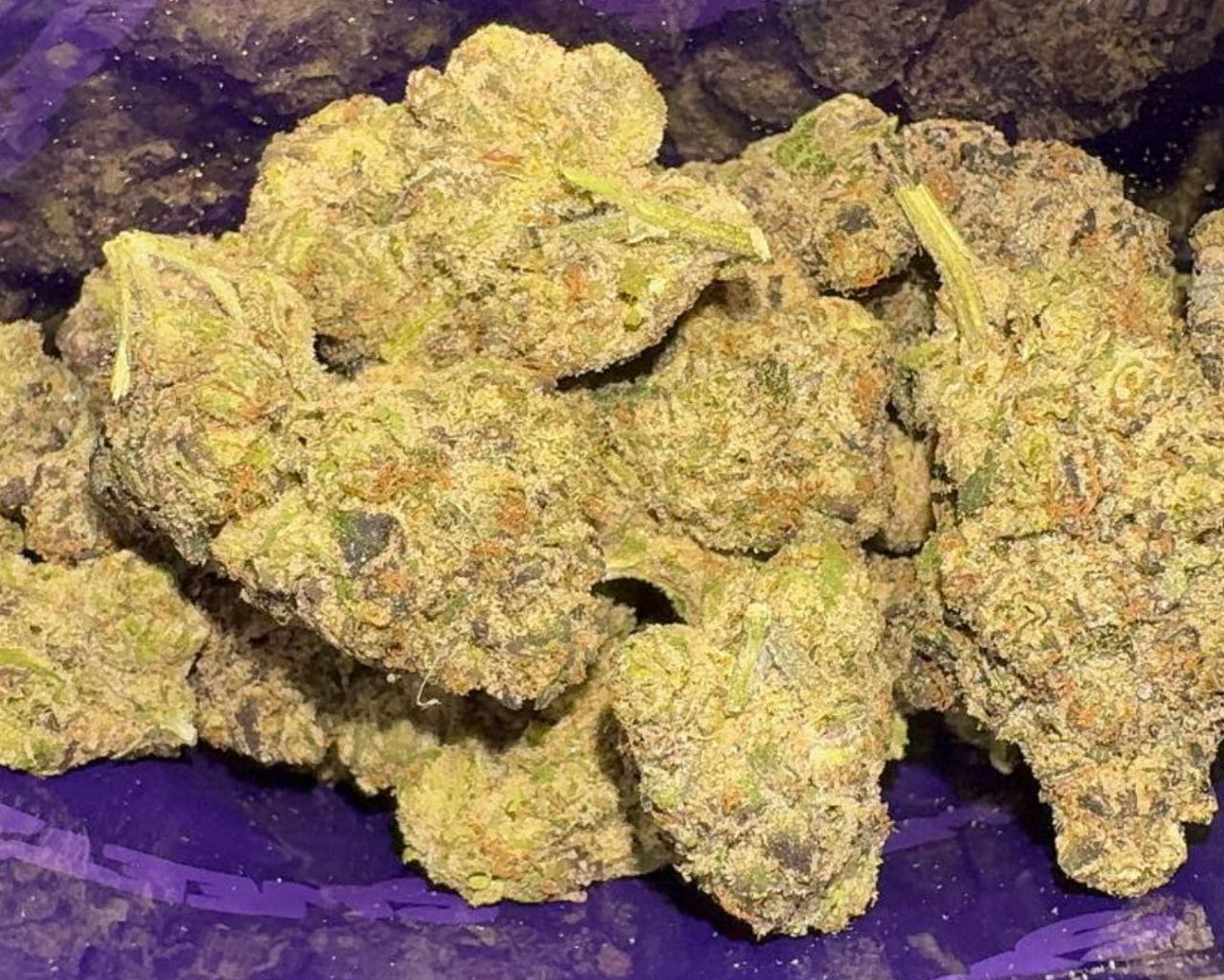 Sweetz Exotics: Drop Top Lemons - S - 37.51%