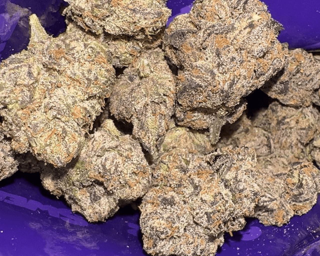 Sweetz Exotics: 40 Pointerz - H - 38.97%