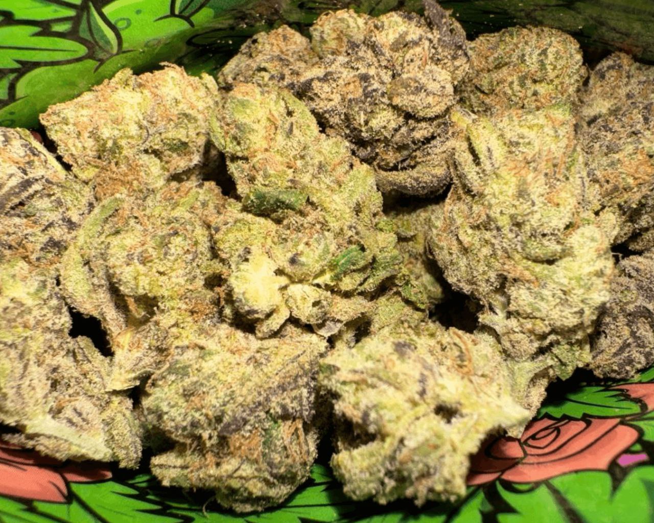 Pillows: Tropical Guava - S - 35.67%